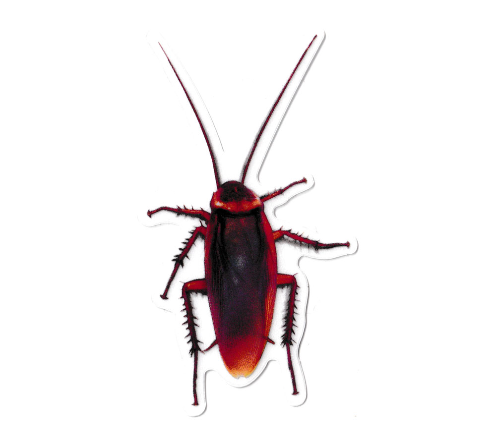 ゴキブリ ステッカー シール 面白い どっきり ジョーク 虫 G-STICKER