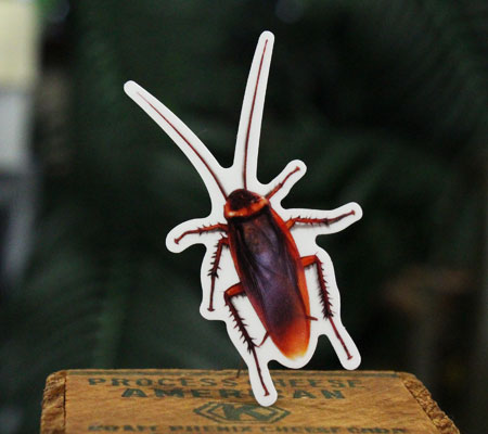 ゴキブリ ステッカー シール 面白い どっきり ジョーク 虫 G-STICKER