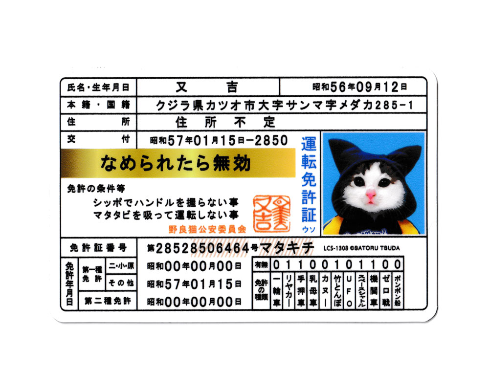 なめ猫 ステッカー かわいい レトロ 昭和 懐かしい 猫 グッズ 免許証02 又吉