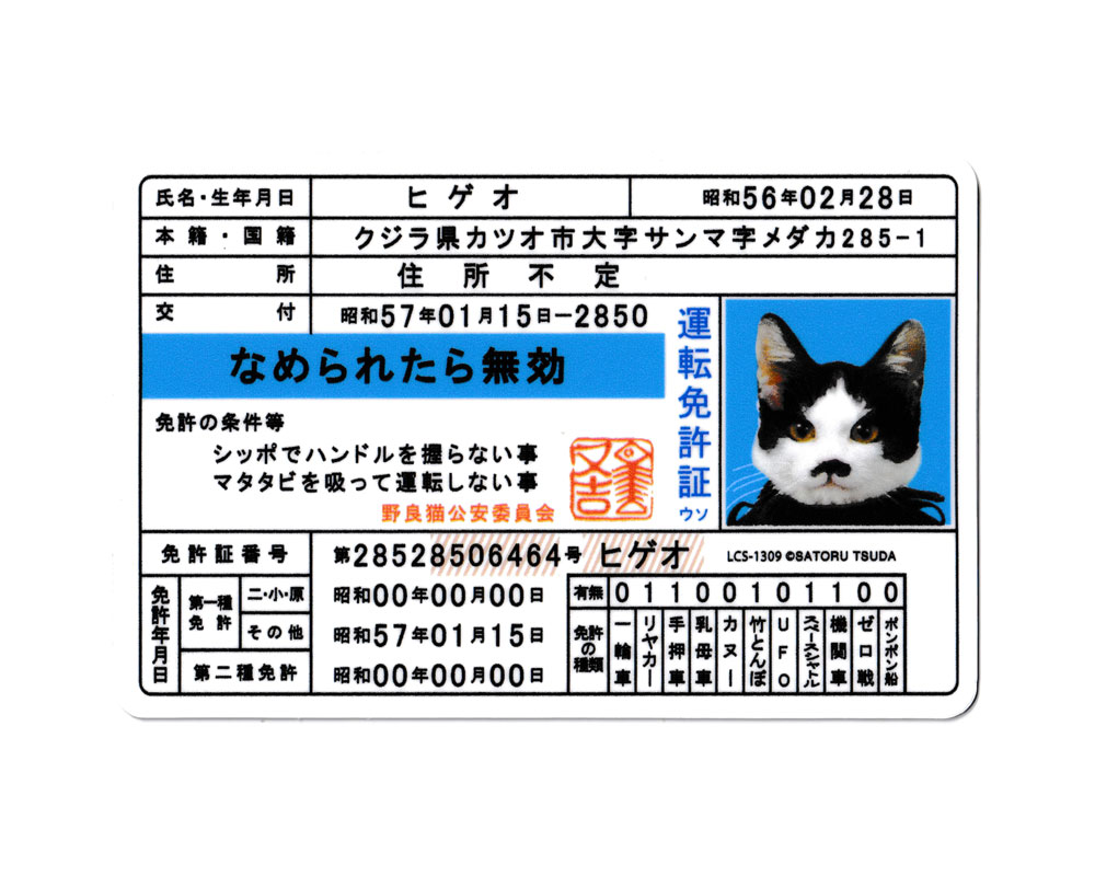 なめ猫 ステッカー かわいい レトロ 昭和 懐かしい 猫 グッズ 免許証03 ヒゲオ : sc-lcs1309-gen : U.S.JUNKYARD  - 通販 - Yahoo!ショッピング