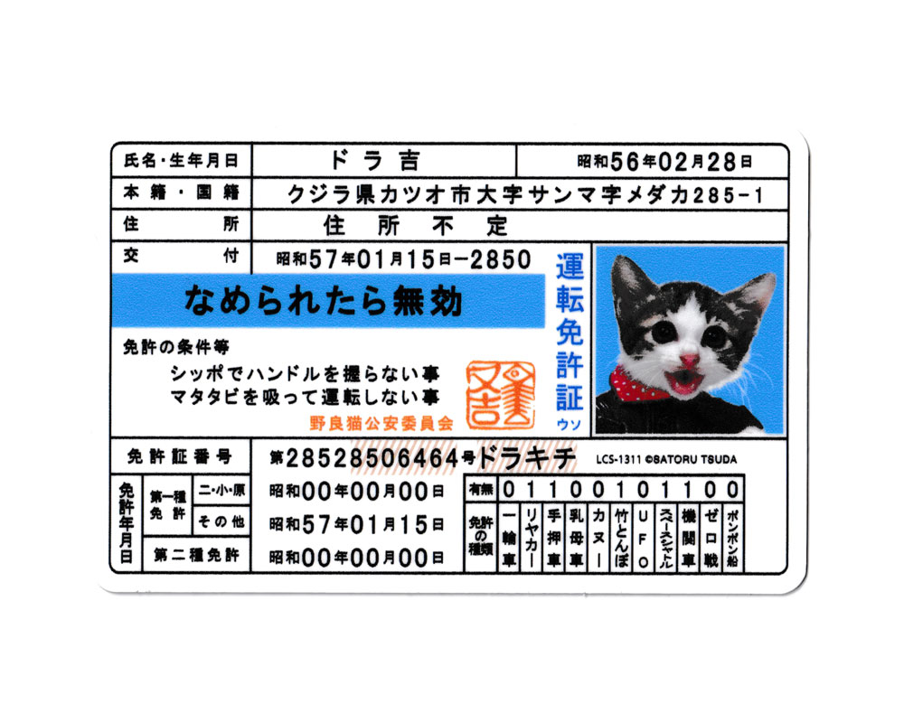 なめ猫 ステッカー かわいい レトロ 昭和 懐かしい 猫 グッズ 免許証05