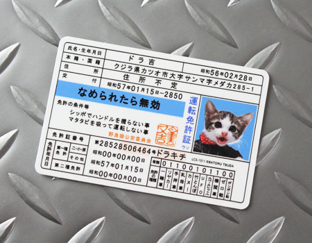 なめ猫 ステッカー かわいい レトロ 昭和 懐かしい 猫 グッズ 免許証05