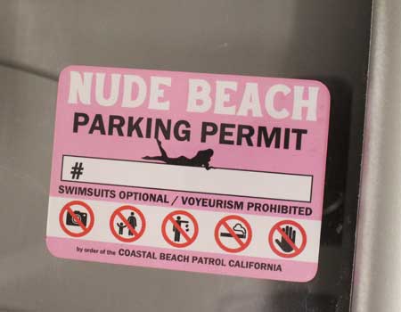 ヌードビーチ パーキングパーミット ステッカー 車 アメリカン おしゃれ 面白い かっこいい 駐車許可証 NUDE BEACH 裏貼りタイプ ピンク |  | 04