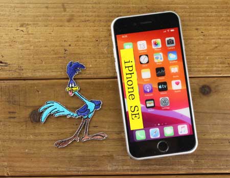 ロードランナー ワッペン アイロン 大人向け キャラクター アメリカ おしゃれ かっこいい かわいい アメカジ アメリカン スタンディング |  | 02