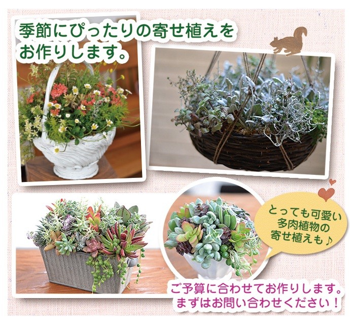 季節のお花で寄せ植えをお作りします