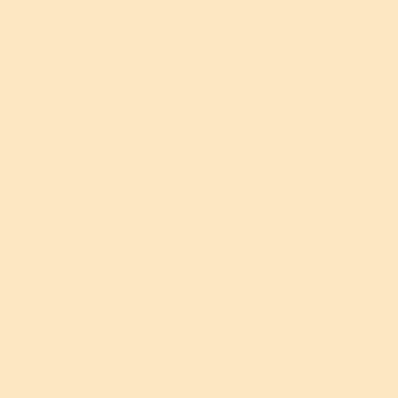 サンデーペイント スーパー油性 鉄部・建物用 変性アルキッド系合成樹脂塗料 0.7L(700ml) 全24色 カラー1 油性多目的塗料｜plantz｜03