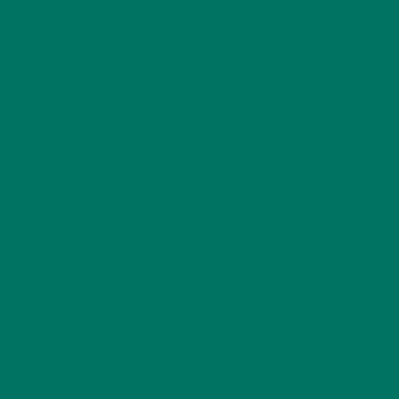 サンデーペイント スーパー油性 鉄部・建物用 変性アルキッド系合成樹脂塗料 0.7L(700ml) 全24色 カラー1 油性多目的塗料｜plantz｜20