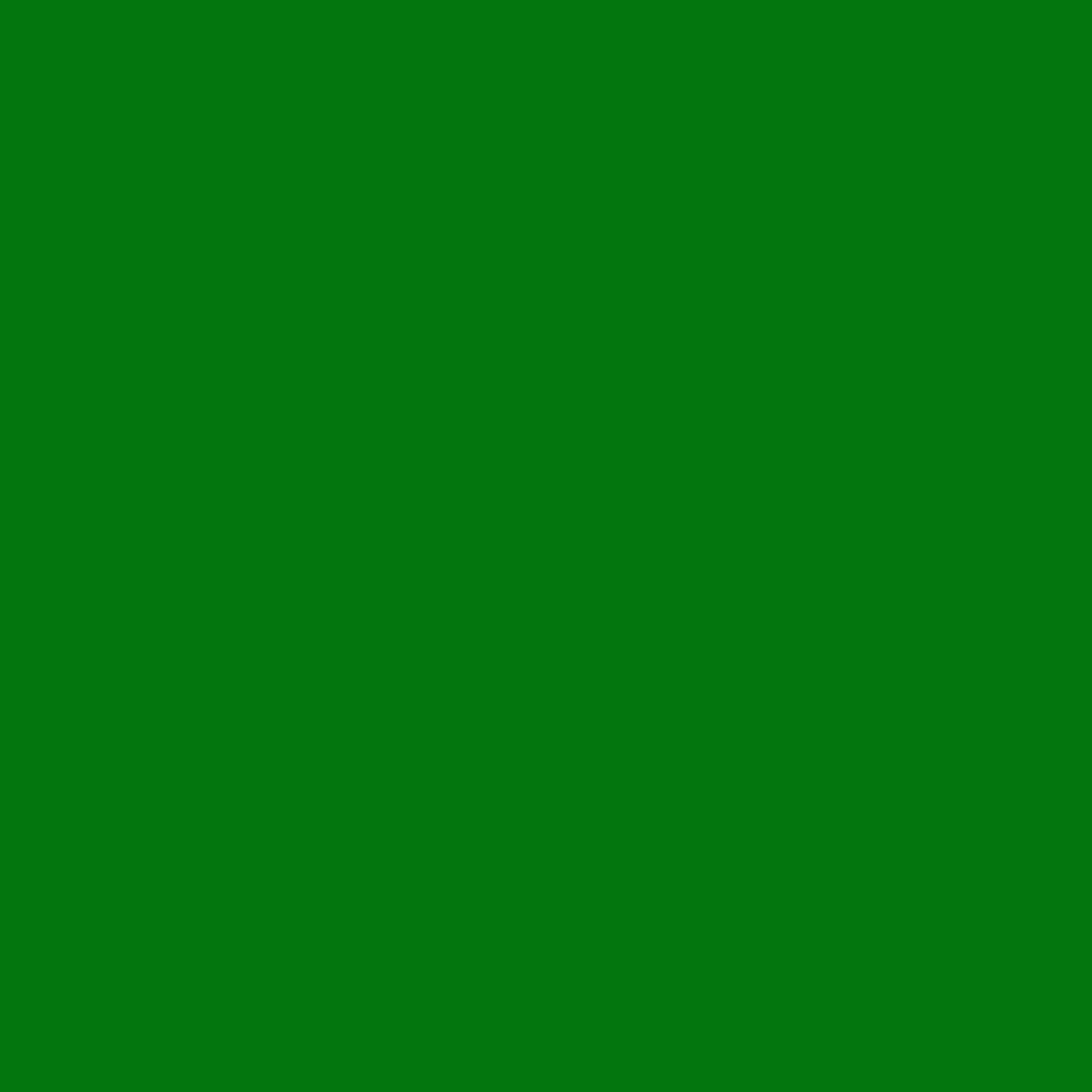 アサヒペン ASAHIPEN 高耐久ラッカースプレー 300ml 《カラー1》全24色中20色｜plantz｜08