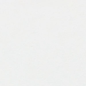 フジワラ化学 かんたん あんしん 珪藻土 壁材 塗材 塗料 塗り替え 内装 壁 内壁 仕上 補修 6坪用 10kg ポリ缶 脱臭 調湿｜plantz｜02