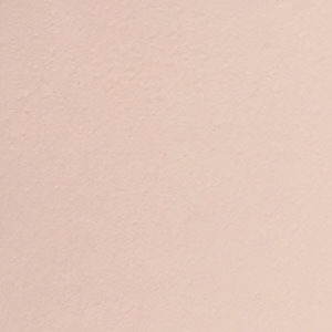 フジワラ化学 かんたん あんしん 珪藻土 壁材 塗材 塗料 塗り替え 内装 壁 内壁 仕上 補修 6坪用 10kg ポリ缶 脱臭 調湿｜plantz｜09