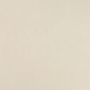フジワラ化学 かんたん あんしん 珪藻土 壁材 塗材 塗料 塗り替え 内装 壁 内壁 仕上 補修 6坪用 10kg ポリ缶 脱臭 調湿｜plantz｜11