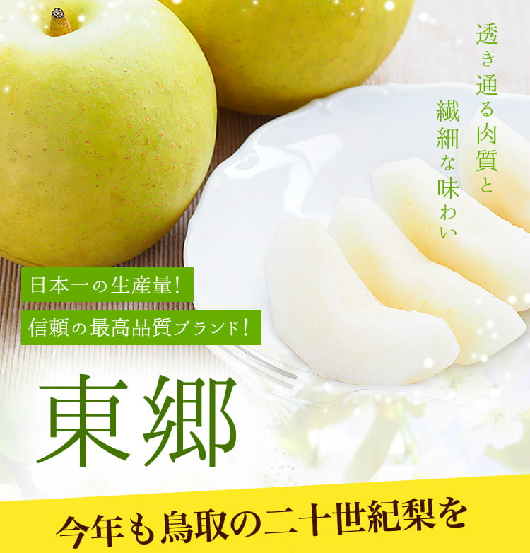 二十世紀梨 20世紀梨 鳥取県 東郷 赤秀 5kg 2L(16玉） 贈答用 進物用 果物 お取り寄せ