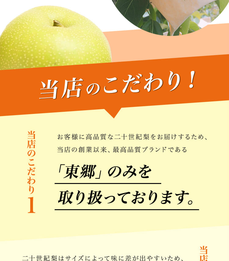 二十世紀梨 20世紀梨 鳥取県 東郷 赤秀 5kg 2L(16玉） 贈答用 進物用