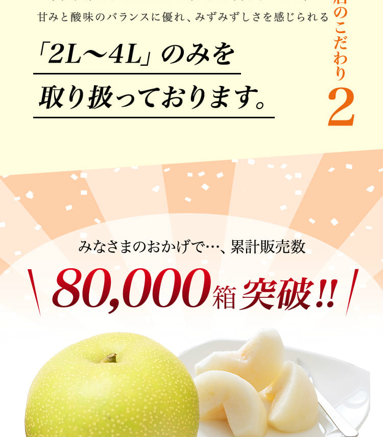 二十世紀梨 鳥取県 美味・熟っと梨 5kg 3L(12〜14玉）大玉 ご