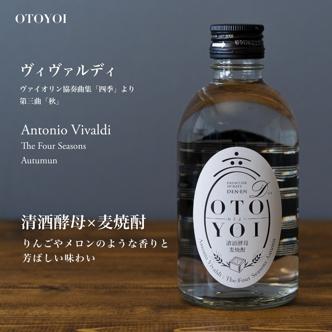 田苑酒造 焼酎 セット 田苑 OTOYOI おとよい ミニボトル 5本