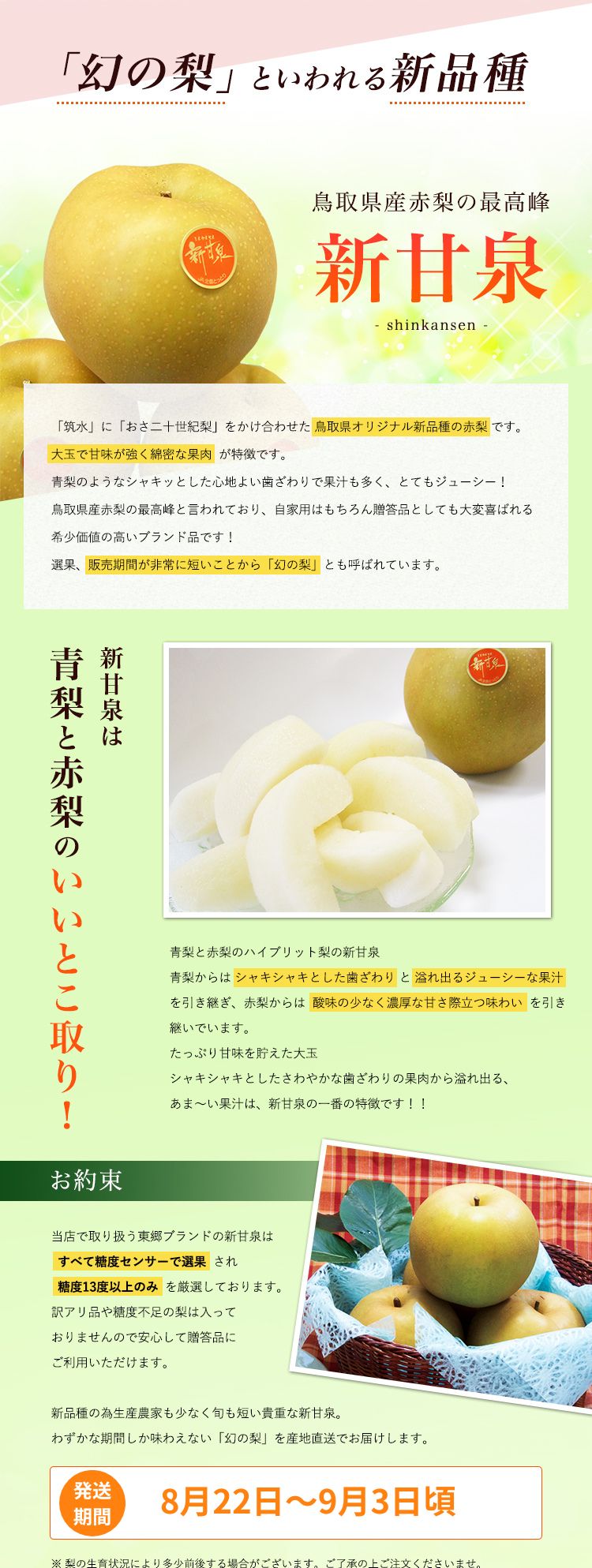 梨 新甘泉 しんかんせん 鳥取県 東郷 秀品 5kg 3L(14玉） 送料