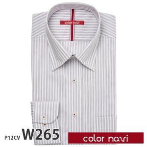 ワイシャツ メンズ 長袖 形態安定 形状記憶 標準型 colornavi P12S1CV01