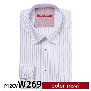 ワイシャツ メンズ 長袖 形態安定 形状記憶 標準型 colornavi P12S1CV02