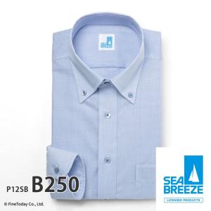 ワイシャツ メンズ 長袖 形態安定 形状記憶 標準型 SEABREEZE P12S1SB01