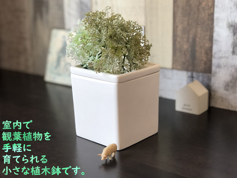 植木鉢 プランター ガーデニング 観葉植物 インテリア 萬古焼 シンプル モダン 可愛い 白 ホワイト 4th Market パセリ 植木鉢 000 500 Coco Miel 通販 Yahoo ショッピング