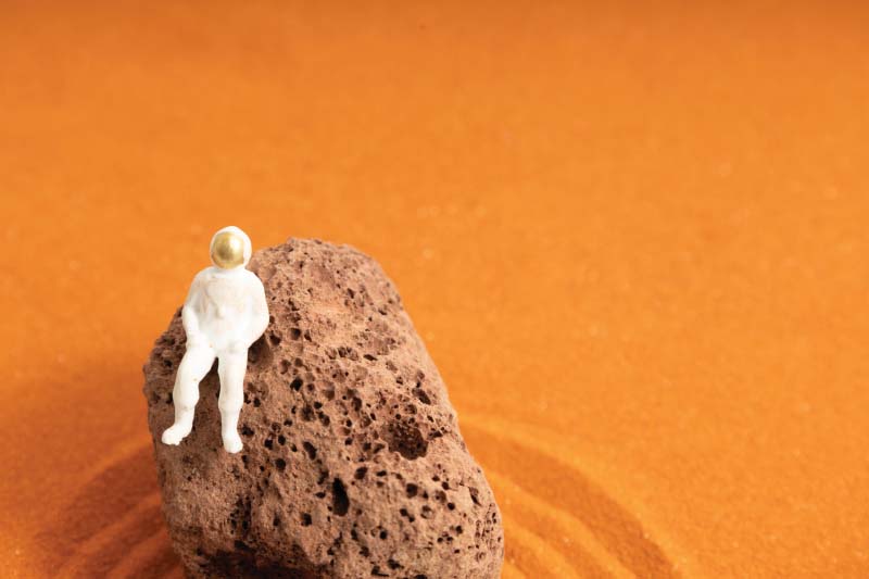 DETAIL（ディテール） マーズ ゼン ガーデン Mars Zen Garden Humango