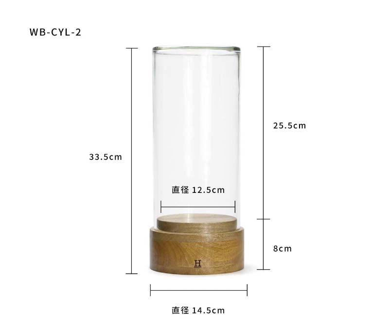 DETAIL ガラスドーム シリンダー2 HERE Glass Dome 