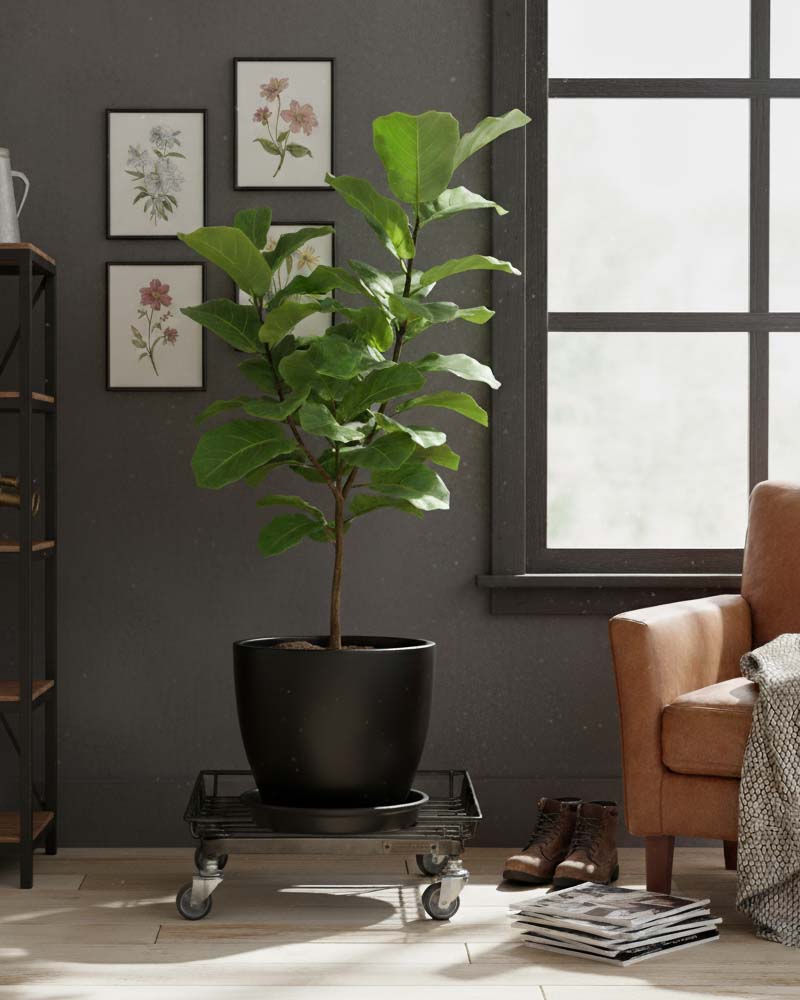 StahL BOTANICAL WIRE TROLLEY シュタール ボタニカル ワイヤー