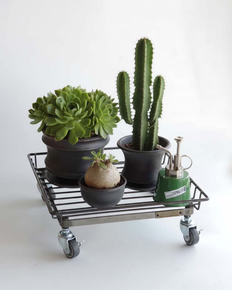 StahL BOTANICAL WIRE TROLLEY シュタール ボタニカル ワイヤー