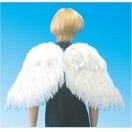 天使の翼・ウィング