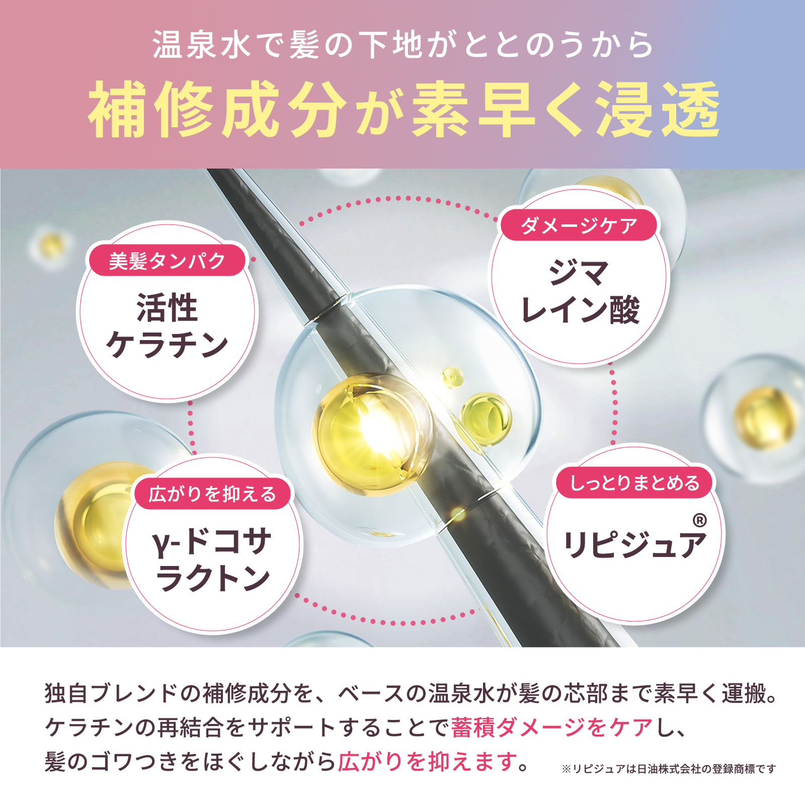 【新シリーズ】bonparme ボンパ ルム ...の詳細画像5