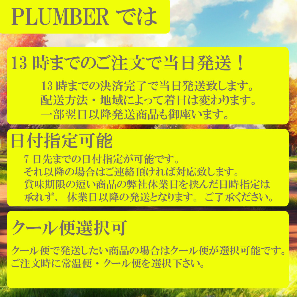 夏ギフト 残暑見舞い ギフト 551 蓬莱 豚まん 4個 焼売 10個 海老焼売 20個 3点セット 大阪土産 点心 関連画像1