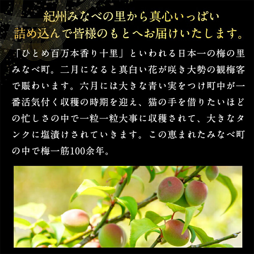 梅干し食べ比べセット