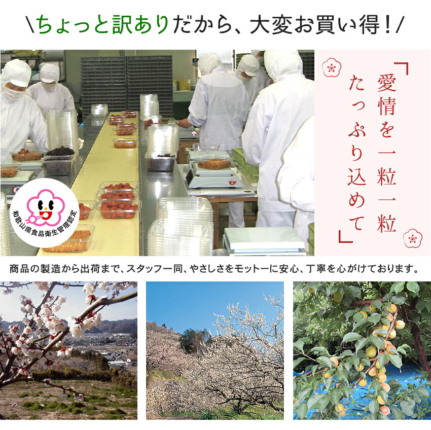 梅干し食べ比べセット