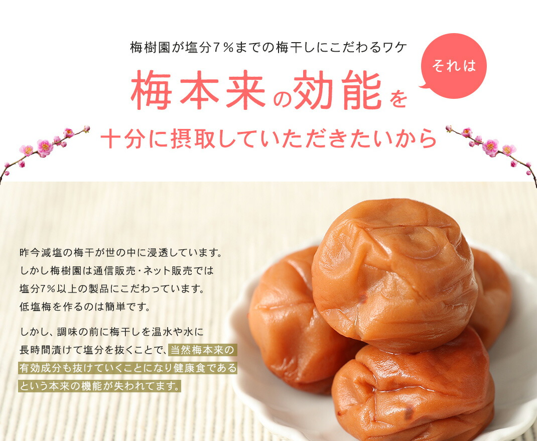うすじお梅7