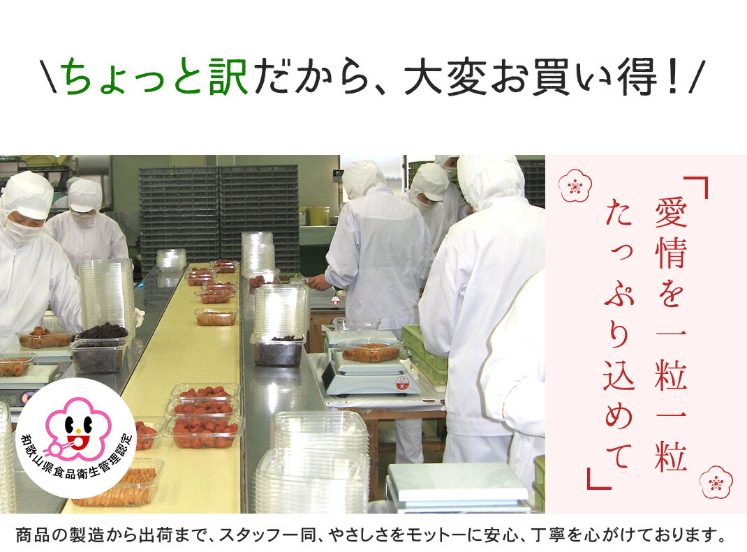 うすじお梅13