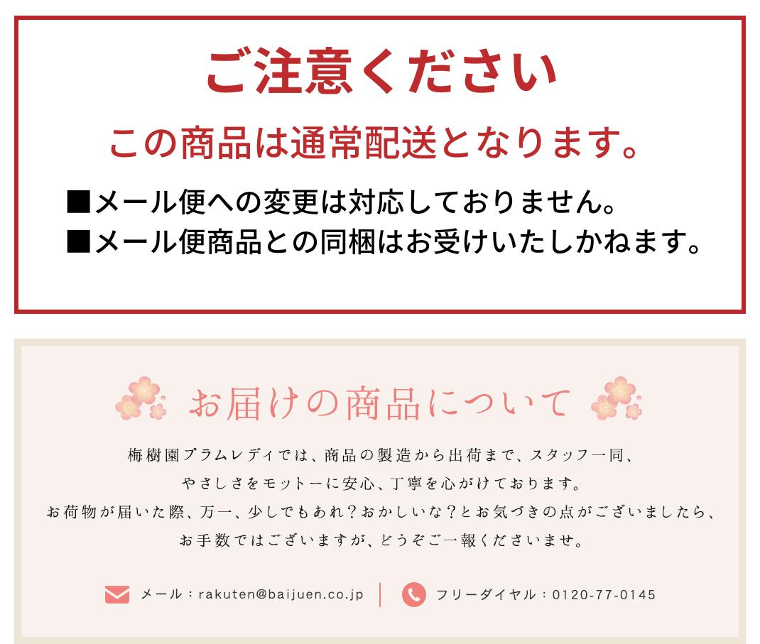 干し梅１３