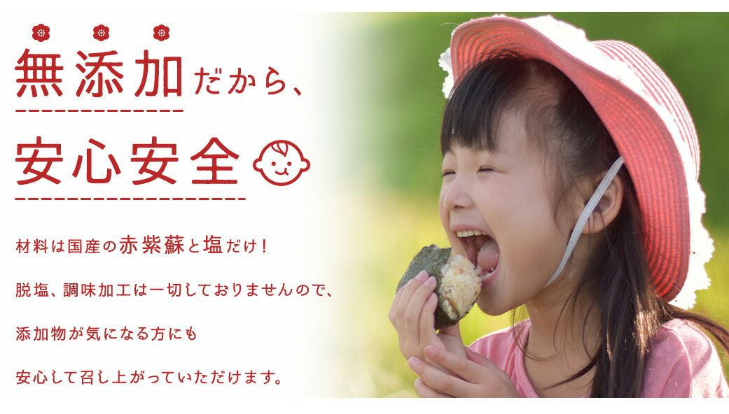 おばあちゃん家の梅5