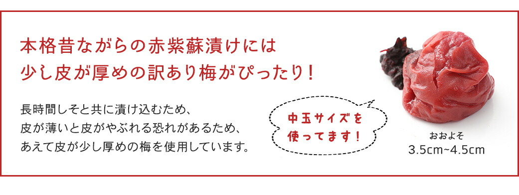 おばあちゃん家の梅8