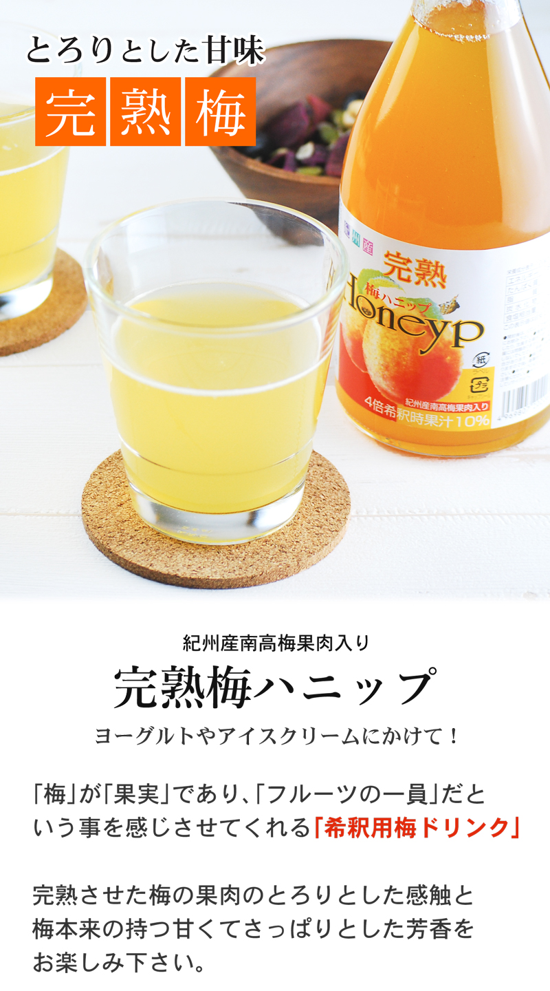 プラム食品 完熟梅ハニップ 590g×12本 梅シロップ 希釈用梅ドリンク