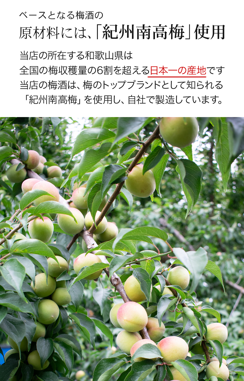 梅原料とは