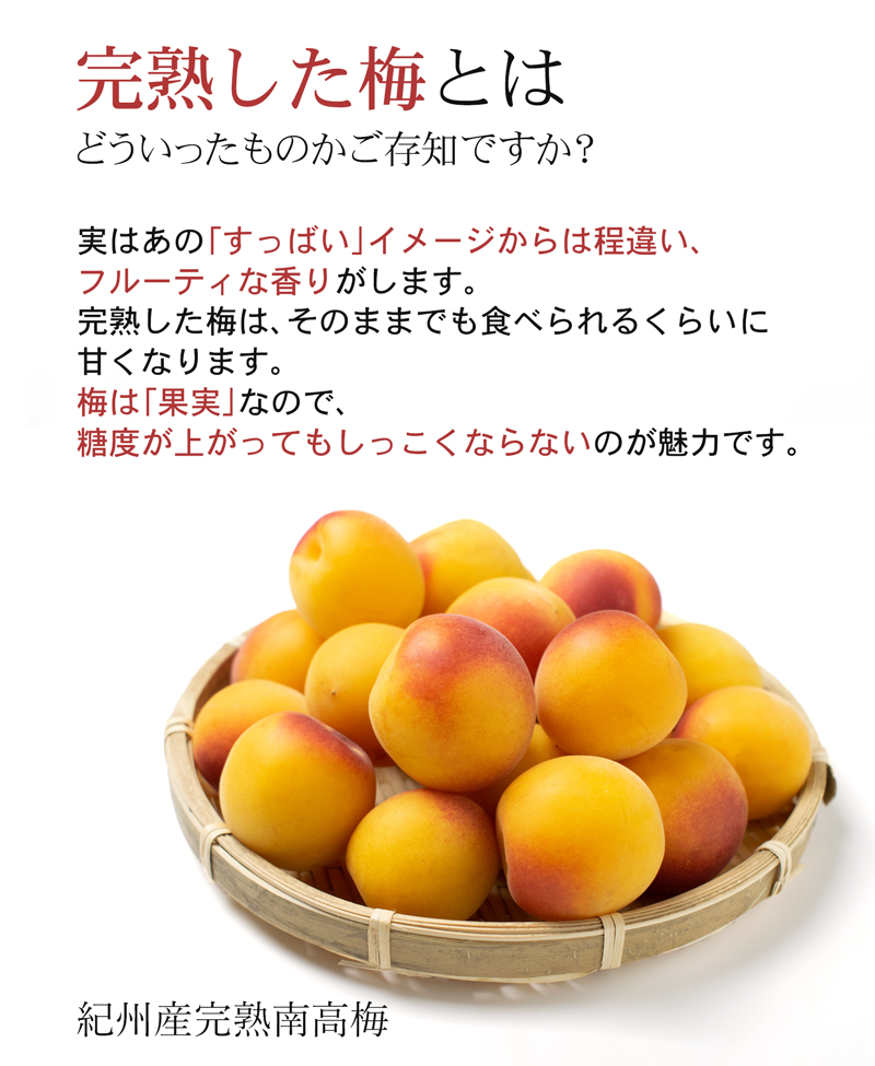 紀州産の完熟南高梅。黄色に赤みがさした果実をざるに盛り付けた様子。酸っぱいだけでなくフルーティーで甘みがあり、この梅が完熟うめジャムの原材料として使われています。