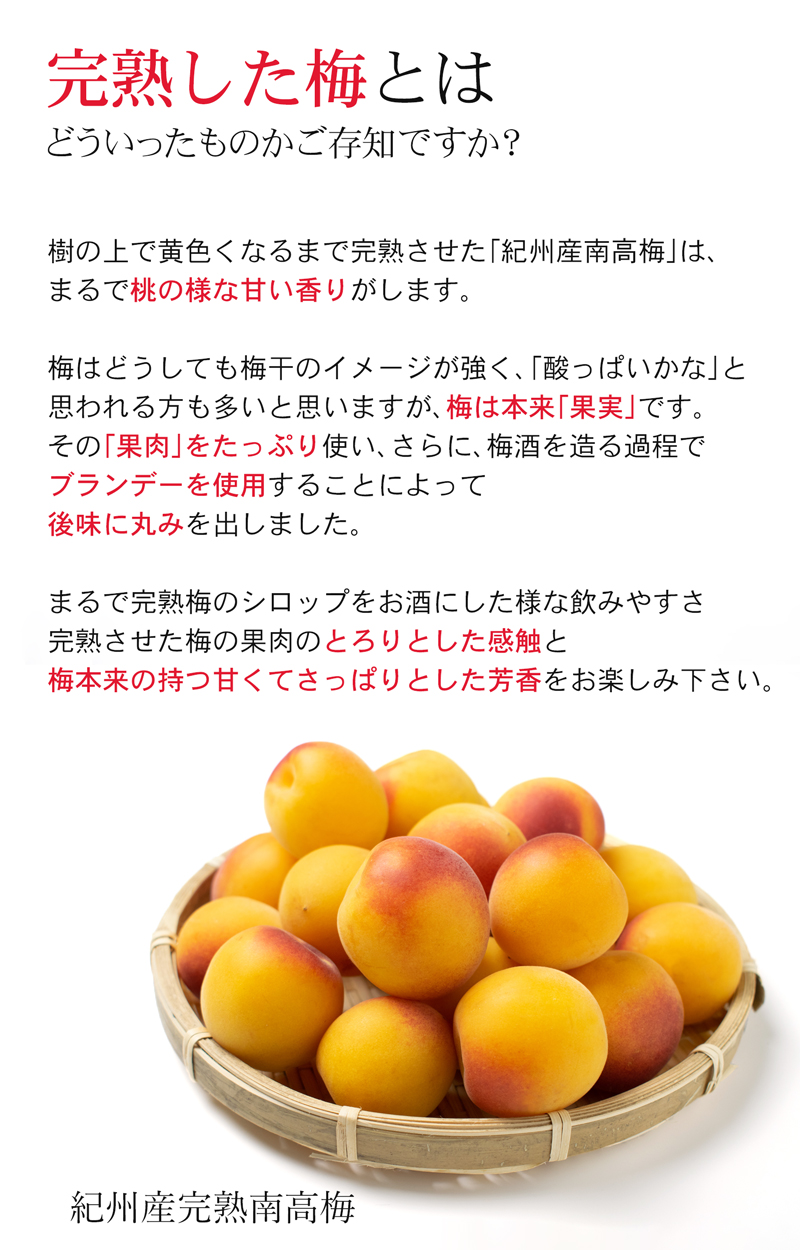 1/6より順次発送 にごり梅酒 熊野かすみ 甘い 完熟梅 720ml×6本 ギフト