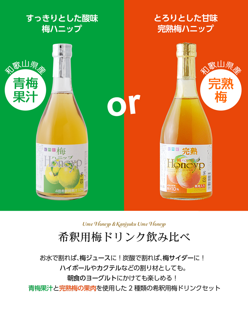 プラム食品 梅シロップ 完熟梅ハニップ 希釈用ドリンク 590g×各3