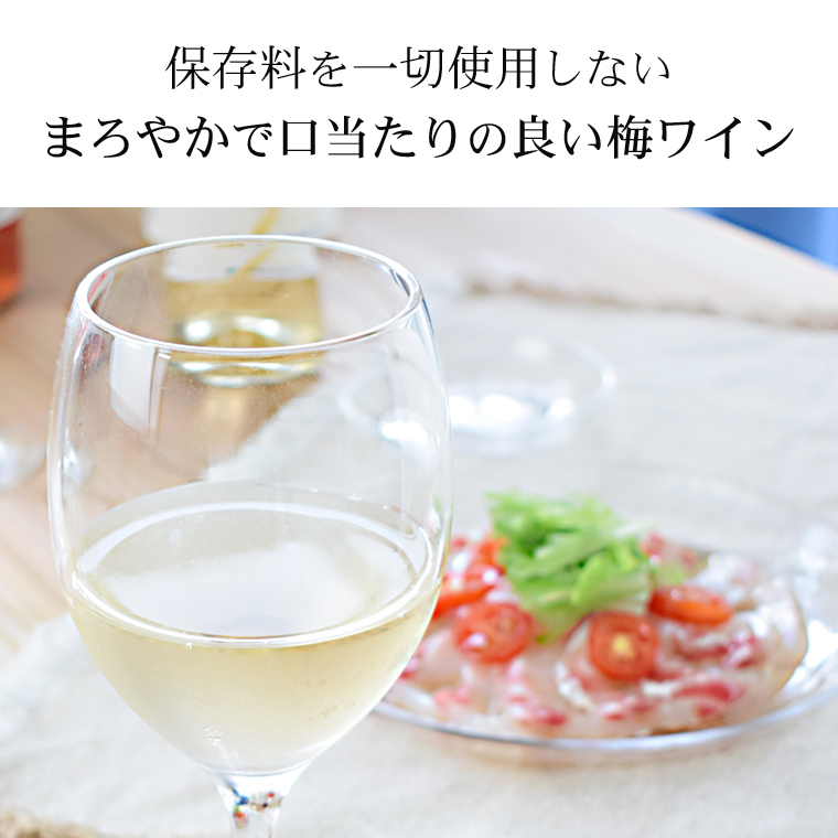 梅ワイン白とカルパッチョ