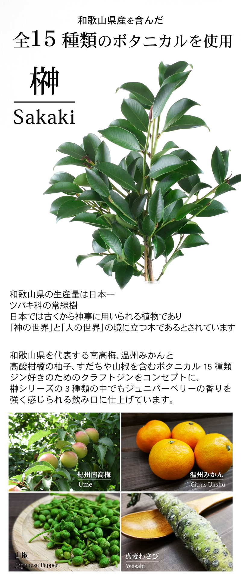 榊xvボタニカル