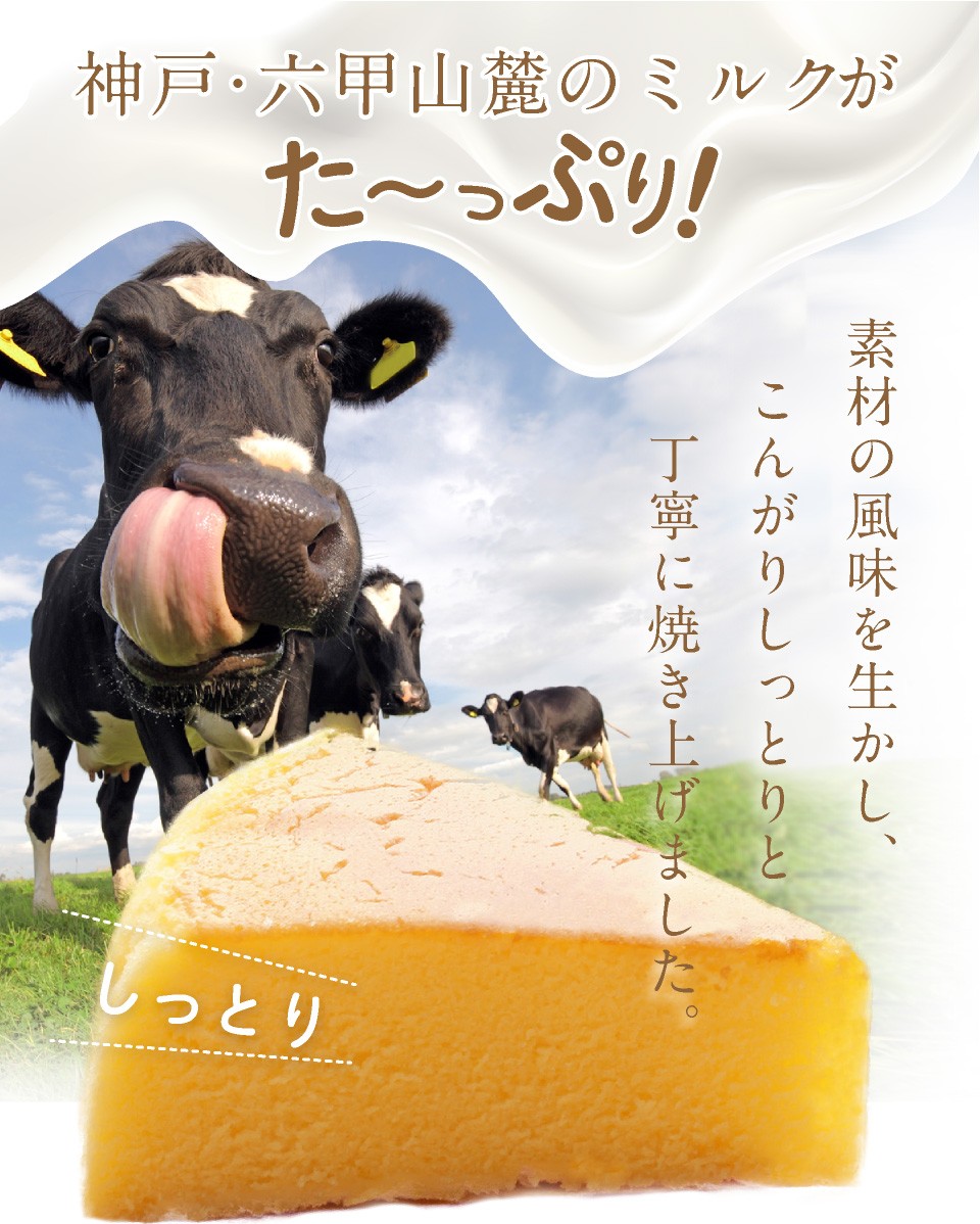 六甲山麓牛乳仕込み 遊酪舎しっとりしたちーずけーき チーズケーキ ５号 約300ｇ ポイント消化 ポスト投函便 送料無料 Cheesecakefree プラムテラスネット 通販 Yahoo ショッピング