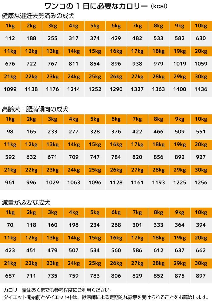 ワンコの1日に必要なカロリー