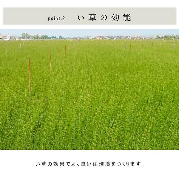 置き畳 ユニット畳 和室 3層 約70×70×1.5cm 9枚組 防炎 軽量 い草 日本製 国産 置きたたみ イ草 畳マット ジョイントマット【代引不可】｜plus-one-kagu｜05