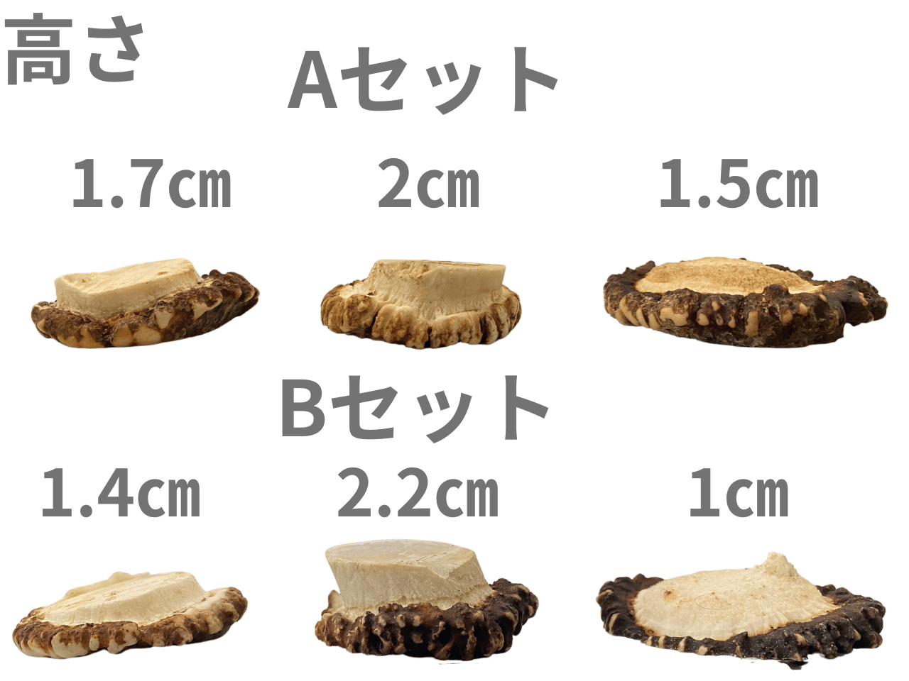 鹿の角 ハンドメイド用パーツ 輪切り(研磨加工)ランダム3個