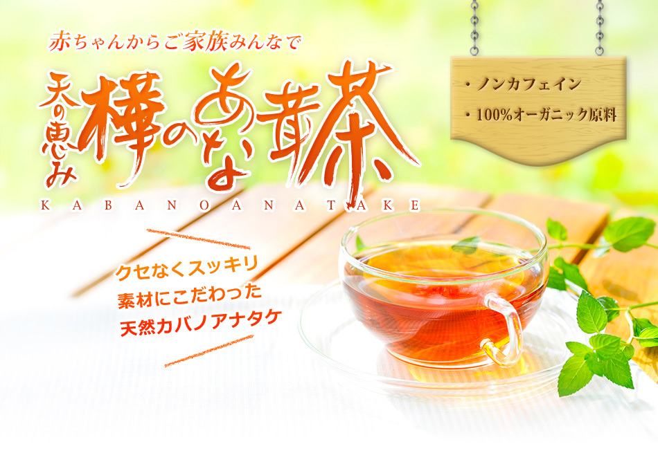 のあな茸茶(チャーガ・カバノアナタケ茶)